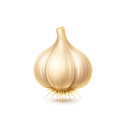 Brand Reveal
